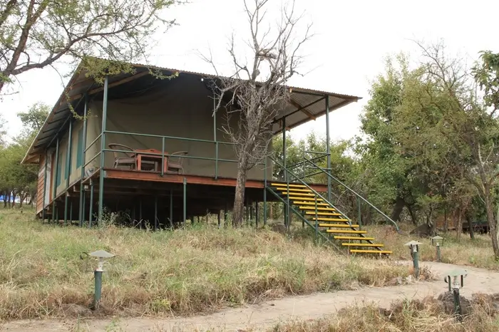 Ngorongoro Wildcamp 1
