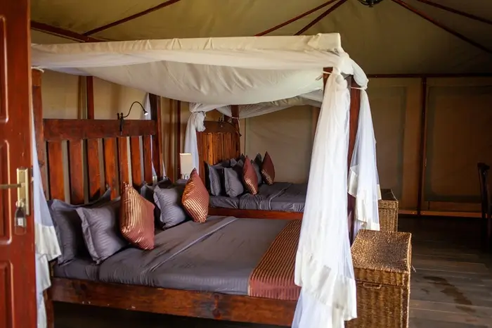Serengeti Safari Lodge 2