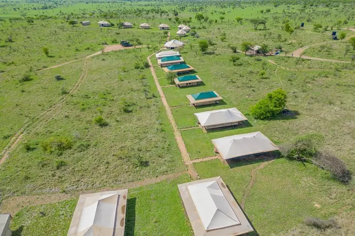 Serengeti wild camp 1