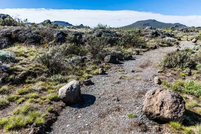 Kilimanjaro Shira Plateau
