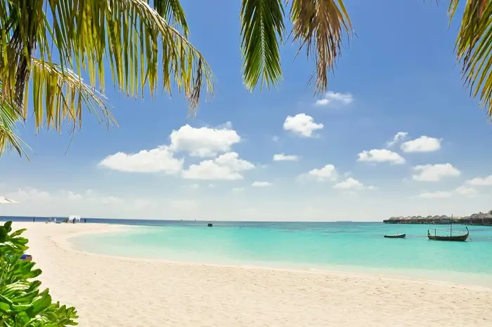 Zanzibar Beach