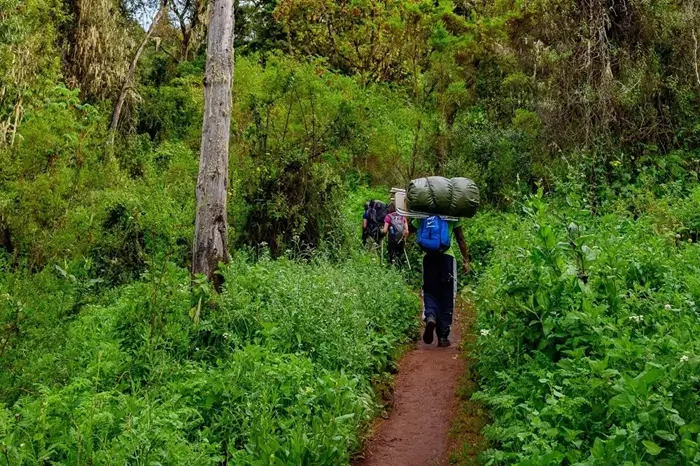 mti mkubwa camp 1